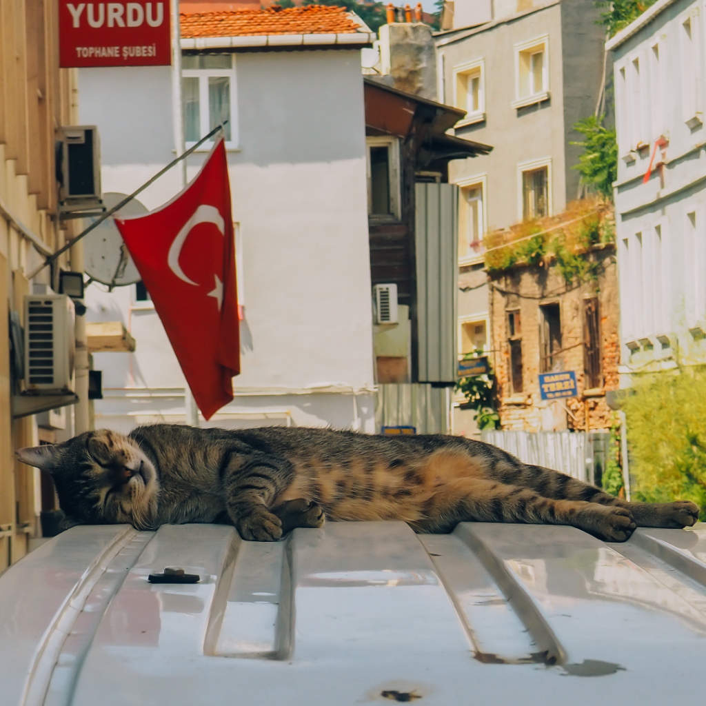 Descubra as riquezas culturais da Turquia