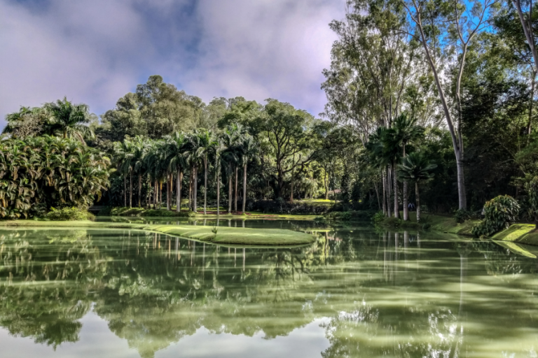 Inhotim, Minas Gerais