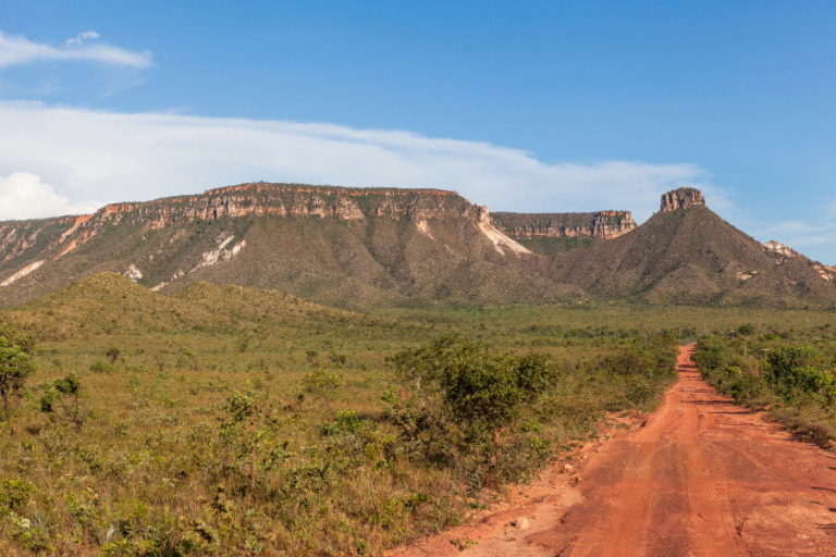 Tocantins, Cerrado Brasileiro