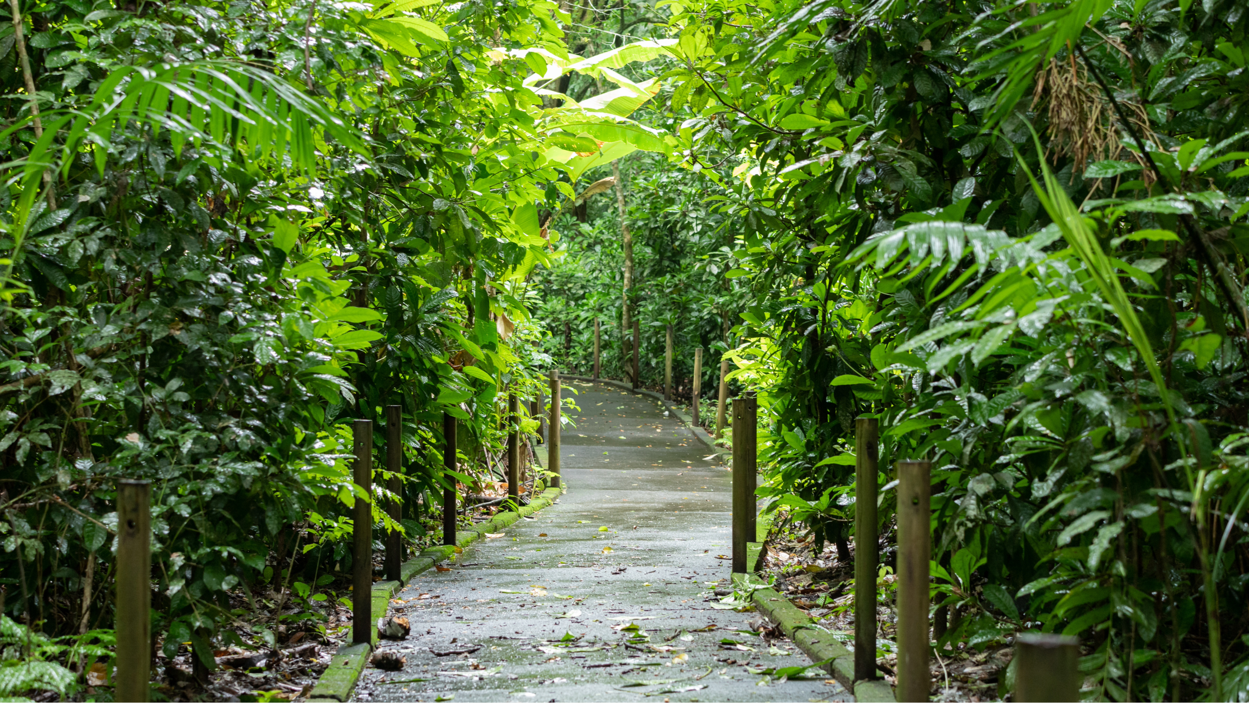 Ecoturismo na Costa Rica